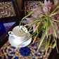 Ebony Lace Mosaic Tray